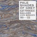 PALE SHADES OF GREY: HEAVY PSYCHEDELIC BALLADS AND DIRGES 1969-1976 - RECORD STORE DAY 2024