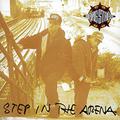 STEP IN THE ARENA -REEDICIÓN-