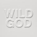 WILD GOD