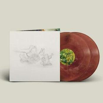 Dragon New Warm Mountain I Believe in You Edición Vinilo de Color